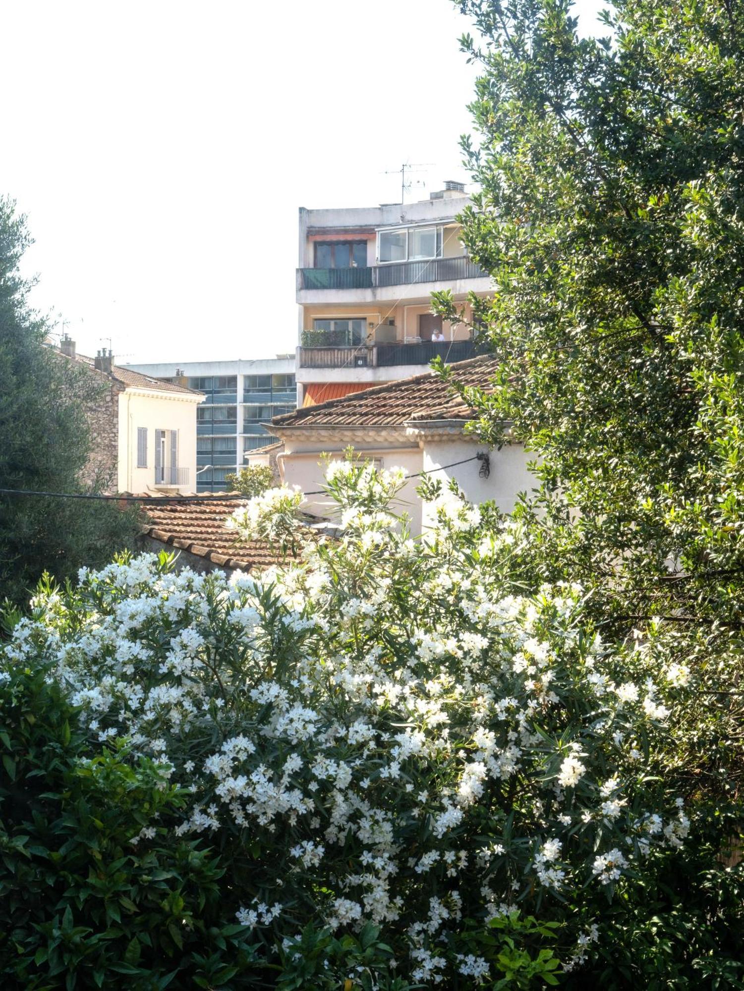 La Maison By Simone T3 Appartement Cannes